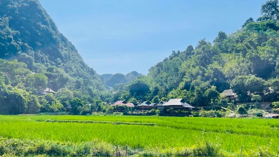 Northwest Vietnam Bike Trip Phu Yen, Mu Cang Chai, Sapa 7 Days